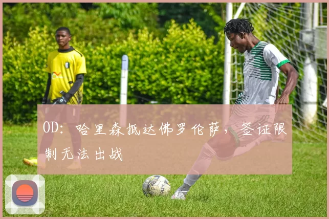 OD：哈里森抵达佛罗伦萨，签证限制无法出战