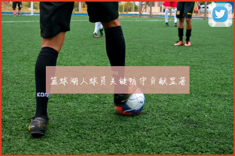 篮球湖人球员关键防守贡献显著