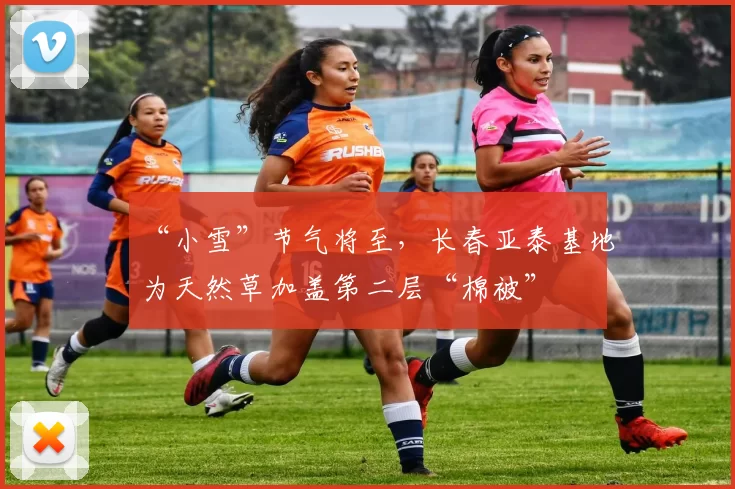 “小雪”节气将至，长春亚泰基地为天然草加盖第二层“棉被”