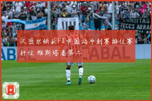 汉密尔顿获F1中国站冲刺赛排位赛杆位 维斯塔潘第二