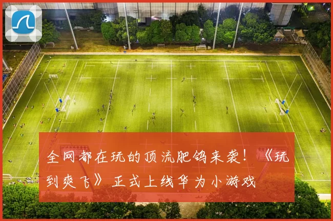 全网都在玩的顶流肥鸽来袭！《玩到爽飞》正式上线华为小游戏